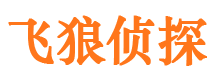 柘城外遇调查取证